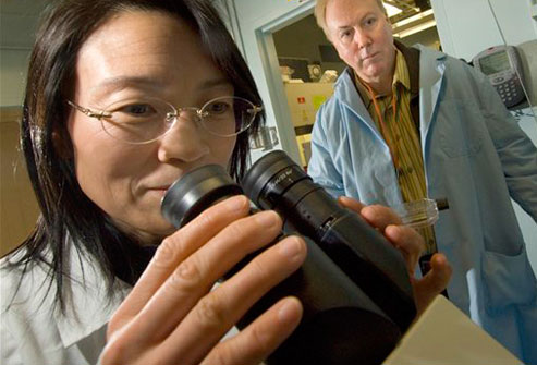 AP_rm_photo_of_cancer_research_scientists.jpg